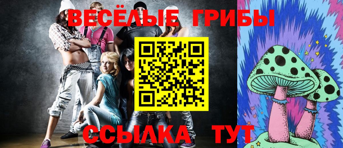 Галлюциногенные грибы Psilocybe Коммунар