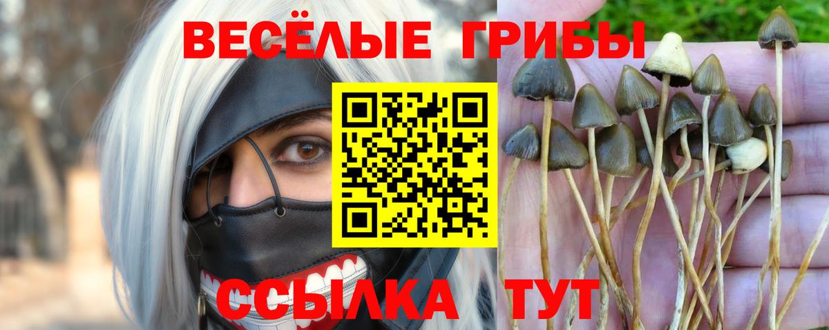 где купить наркоту  Псилоцибиновые грибы Magic Shrooms  Вход с VPN  Коммунар 